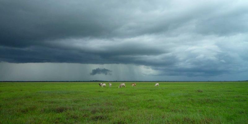 从实验室到后厨:创新检测技术与精密仪器如何重塑餐饮食品安全防线