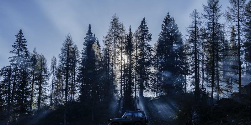 农残与微生物污染检测：快速检测设备的技术革新与应用对比